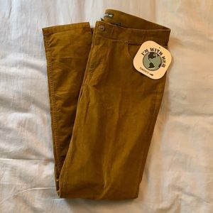 Brand New Toad & Co. Curdouroy Pants Women’s 6